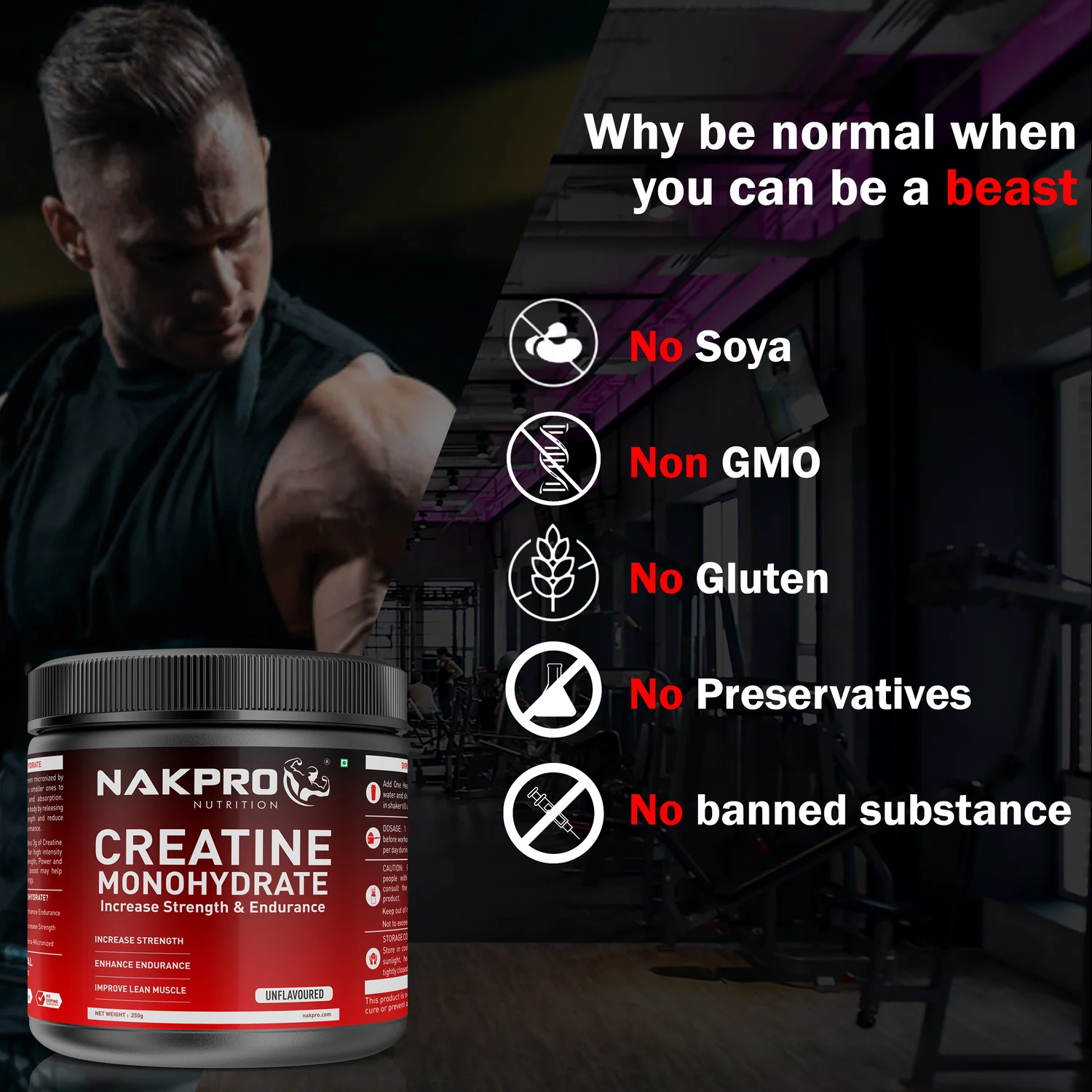 Micronized Creatine Monohydrate - Image 101