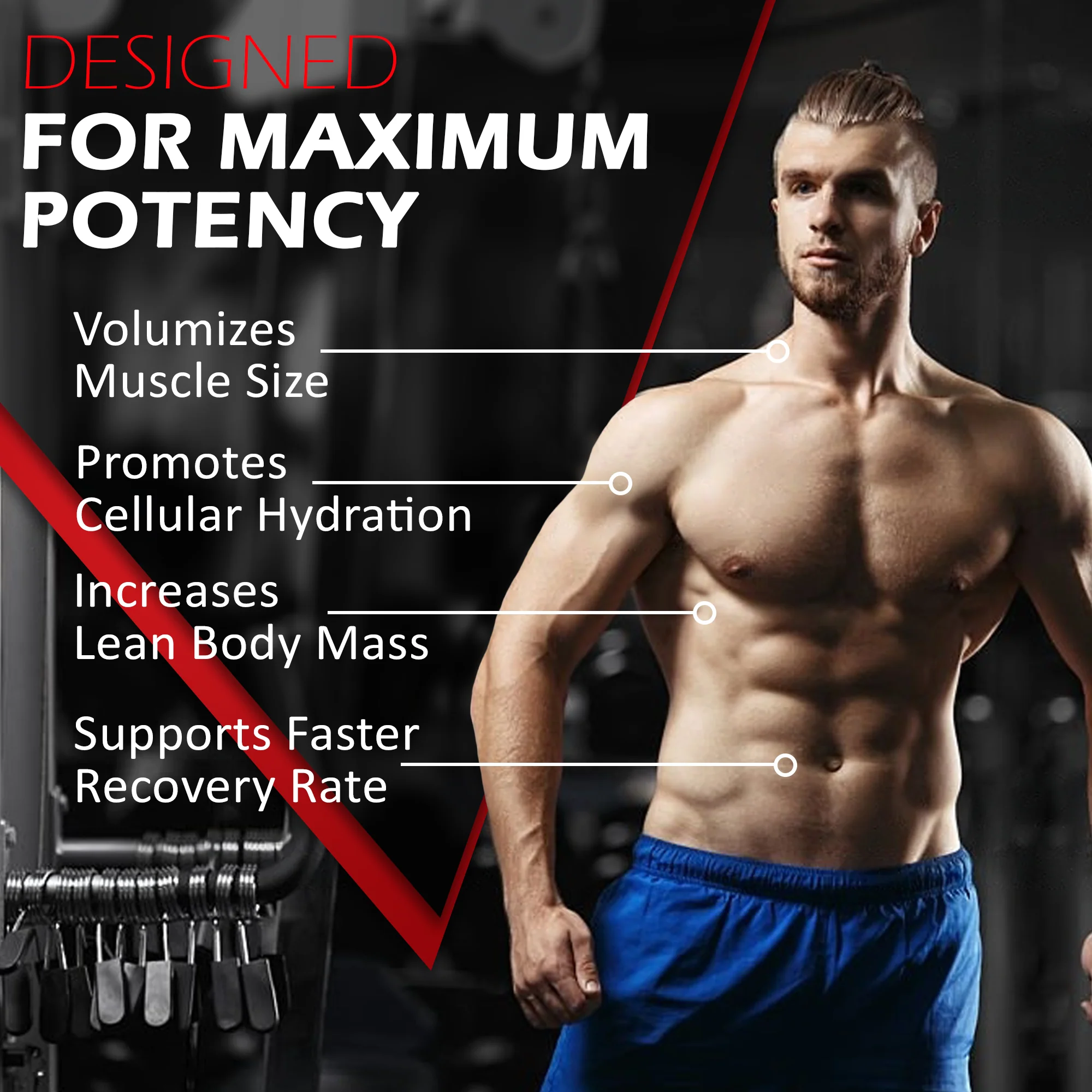 Micronized Creatine Monohydrate - Image 33