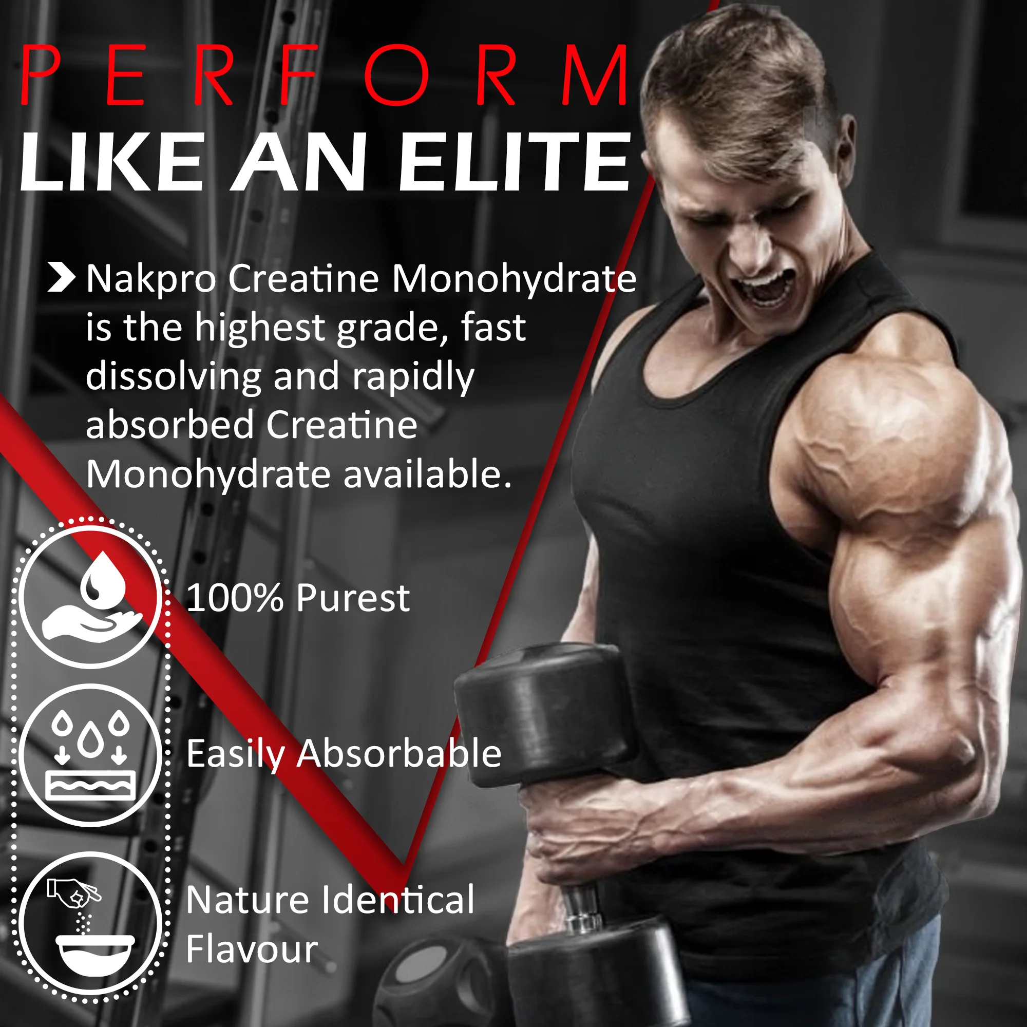 Micronized Creatine Monohydrate - Image 40